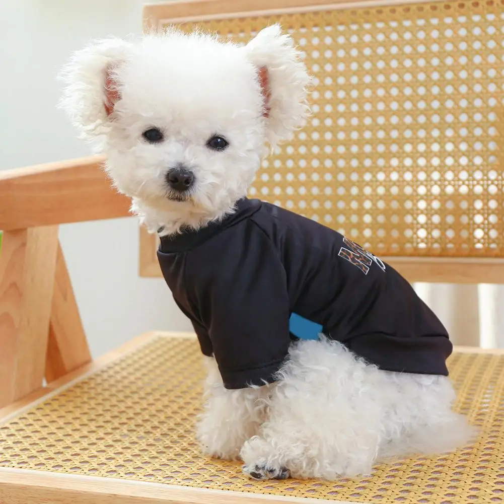 Безусадочная стильная весенне-летняя одежда для собак, футболка с мягкой текстурой для домашних животных, дышащая повседневная одежда